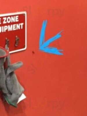 Starbucks And Ben And Jerry's Ice Cream