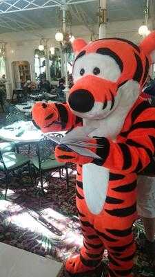 Character Dining Restaurants