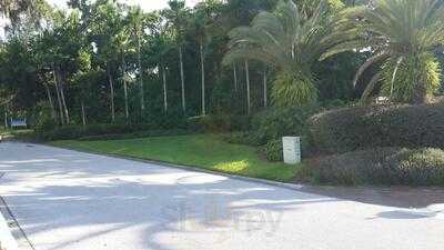 Character Dining Restaurants