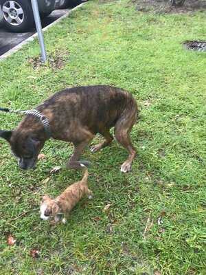 Vanbarry's Public House