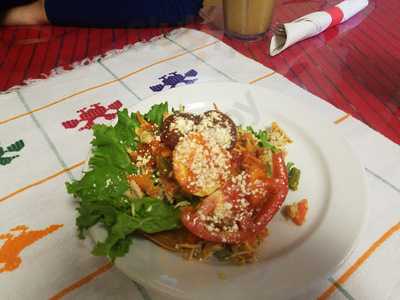 Naples Rain Forest Cafe