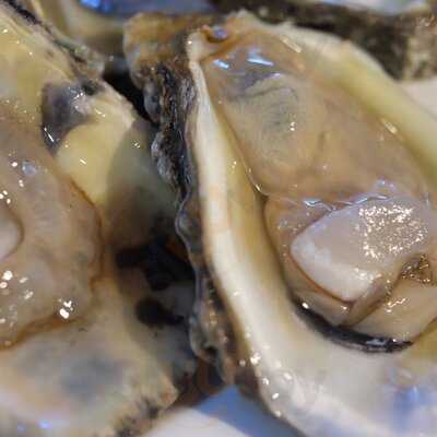 Little New Orleans Kitchen & Oyster Bar