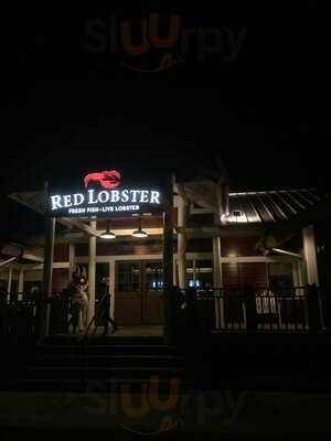 Red Lobster