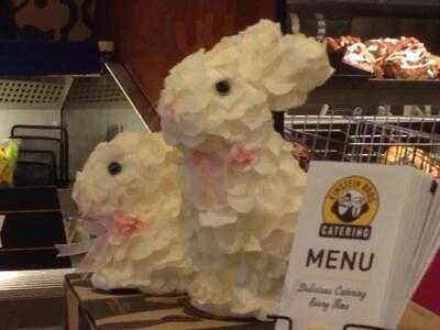 Einstein Bros. Bagels