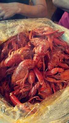 The Crawfish Pot N Oyster Bar
