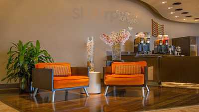 Contemporary Grounds