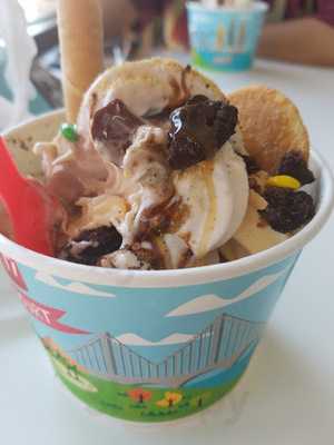 Tutti Frutti Frozen Yogurt