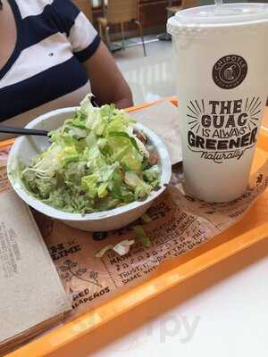 Chipotle Mexican Grill