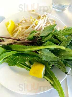 Ha Long Pho Noodle House