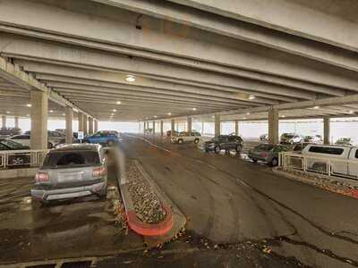 Paradise Smoothies & Pretzels