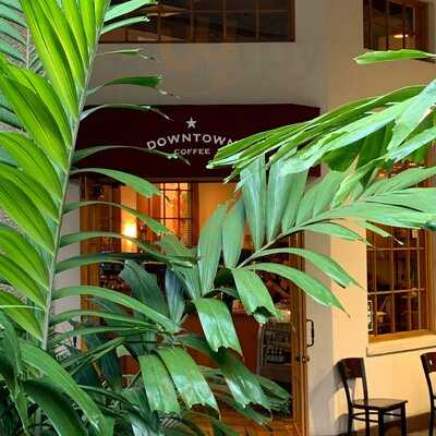 Downtown Coffee Honolulu