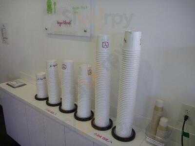 Yogurtland Hawaii Kai