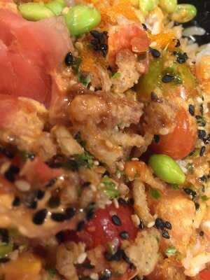 Lemon Shark Poke