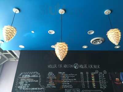 Holler Brewing Co.
