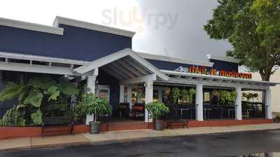 Mellow Mushroom Orlando