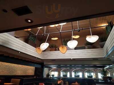 Cheddar's Scratch Kitchen