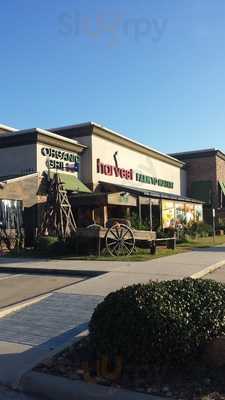 Harvest Organic Grille