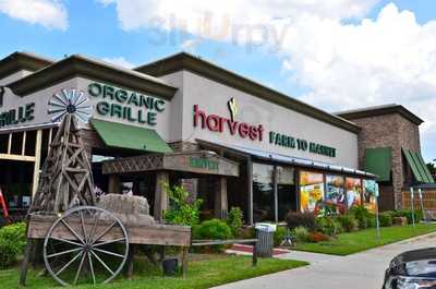 Harvest Organic Grille