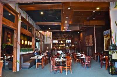 Harvest Organic Grille