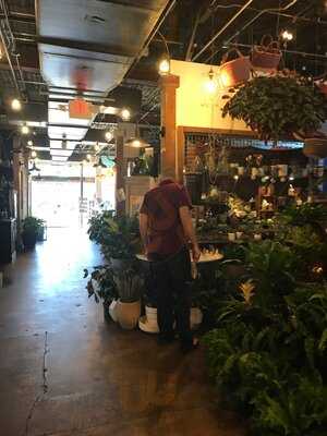 Lineage Coffee Roasting