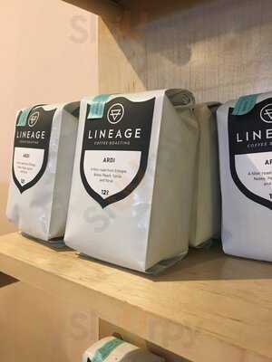 Lineage Coffee Roasting