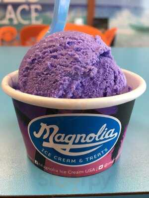 Magnolia Ice Cream & Treats