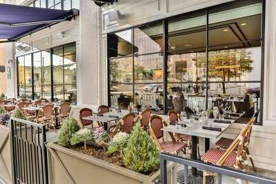 Cultivated Food And Beverage