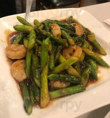 Mini Garden Orient Cuisine