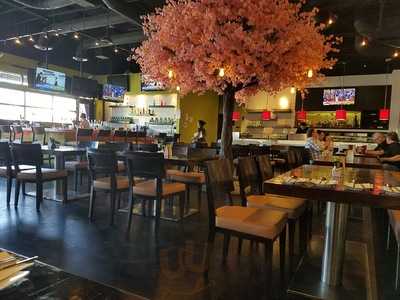 Ohya Sushi Korean Grill & Bar