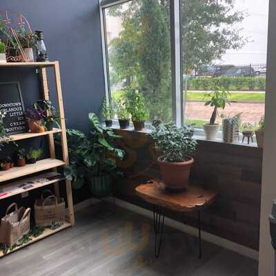 The Greenery Creamery