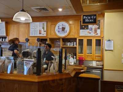 Coffee Bean And Leaf