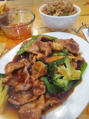 Lotus Garden Chinese