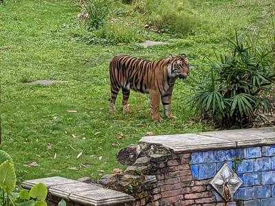 Anandapur Ice Cream Truck