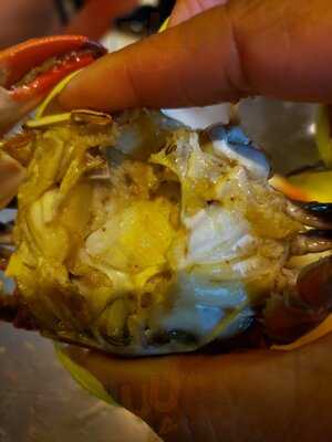 Little New Orleans Kitchen & Oyster Bar