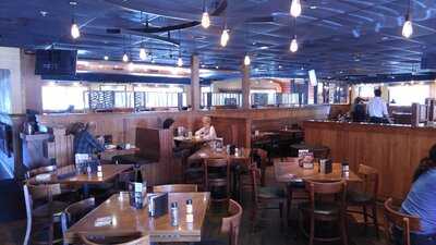 Outback Steakhouse
