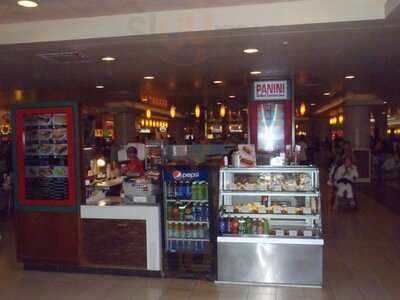 Panini Grill Sandwiches