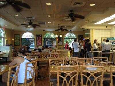 Pollo Tropical