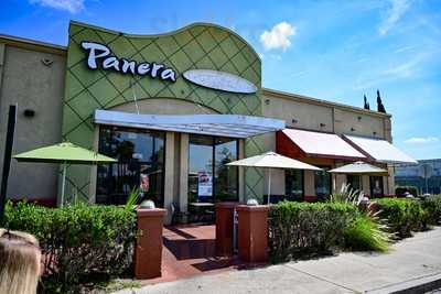Panera Bread