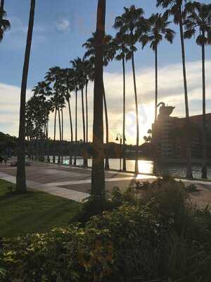 Splash Pool Bar And Grill