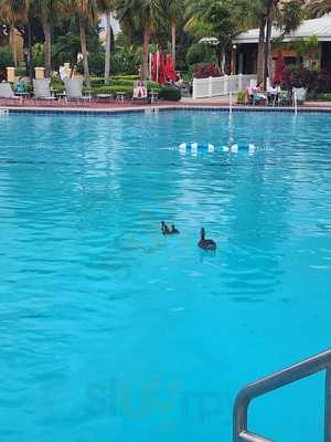 Pineapple Grille & Lounge