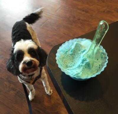 Smith & Adams Confections