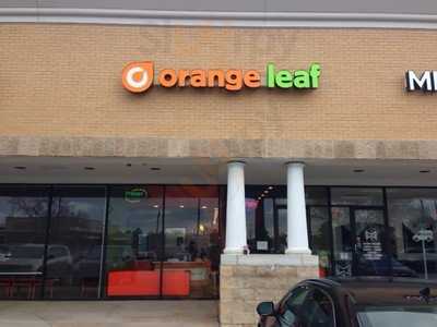 Orange Leaf Houston Jeresy Village