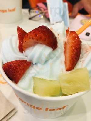 Orange Leaf Houston Jeresy Village