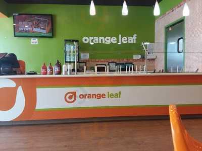 Orange Leaf Houston Jeresy Village