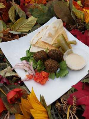 Mediterranean Majik Food Truck