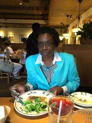 Olive Garden Italian Restaurant