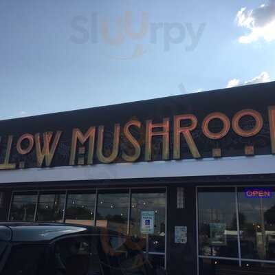 Mellow Mushroom Houston