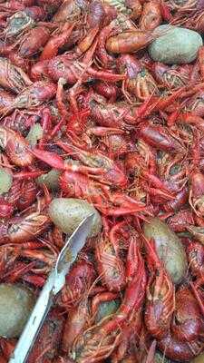 La Crawfish