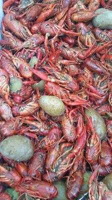 La Crawfish