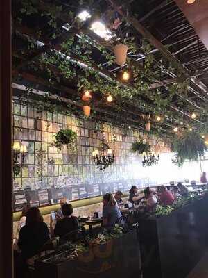 Mona Fresh Italian Food